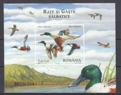 ROMANIA 2007 LP 1772 RATE SI GASTE SALBATICE COLITA NEDANTELATA MNH foto