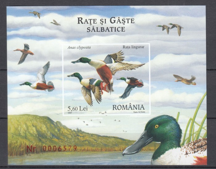 ROMANIA 2007 LP 1772 RATE SI GASTE SALBATICE COLITA NEDANTELATA MNH