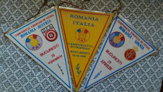 3 Fanioane cu Romania foto