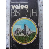 VALEA BISTRITEI-IOAN SCURTU, ADOLF MINUT-227519