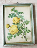 Tablou matase - decorativ / de colectie - Trandafir galben
