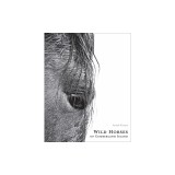 Wild Horses of Cumberland Island