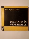 Ion Ag&acirc;rbiceanu - Meditație &icirc;n septembrie: publicistică literară