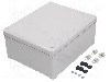 Carcasa policarbonat, 241mmx291mmx128mm, IP66, SCHNEIDER ELECTRIC - NSYTBP292412