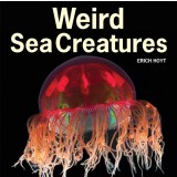 Weird Sea Creatures