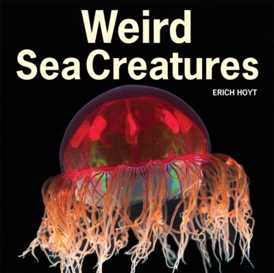 Weird Sea Creatures foto