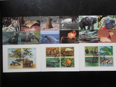 ONU,SET COMPLET MAXIME -NEW YORK,GENEVA,VIENA-ANUL 1994-SPECII IN PERICOL foto