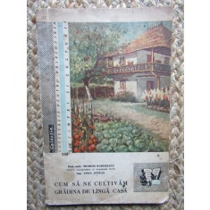 Teodor Bordeianu - Cum sa ne cultivam gradina de langa casa