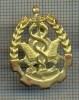 Y 1715 INSIGNA - MILITARA -SEMN DE ARMA - INTENDENTA -PENTRU COLECTIONARI