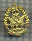 Y 1715 INSIGNA - MILITARA -SEMN DE ARMA - INTENDENTA -PENTRU COLECTIONARI