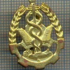 Y 1715 INSIGNA - MILITARA -SEMN DE ARMA - INTENDENTA -PENTRU COLECTIONARI