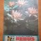 revista rebus 1 septembrie 1989
