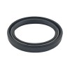REMS Semering 060310 ProAdvanced PowerfulTools