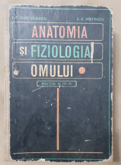 Anatomia ?i fiziologia omului - I. C. Voiculescu, I. C. Petricu foto