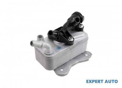 Radiator ulei BMW Seria 5 (2010-&amp;gt;) [F10] #1 foto