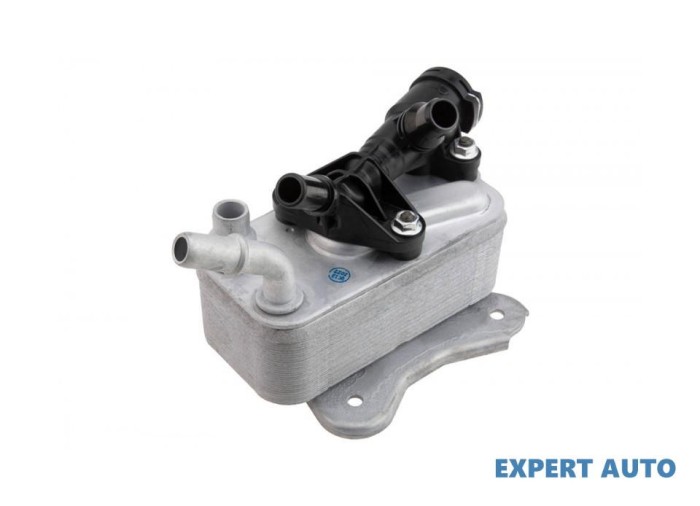 Radiator ulei BMW Seria 5 (2010-&gt;) [F10] #1