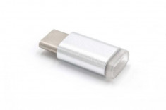 Adapter silber von usb type c (m) auf micro-usb (f), foto