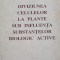 DIVIZIUNEA CELULELOR LA PLANTE SUB INFLUENTA SUBSTANTELOR BIOLOGIC ACTIVE-GHEORGHE ACATRINEI, LIGIA ACATRIN-244986