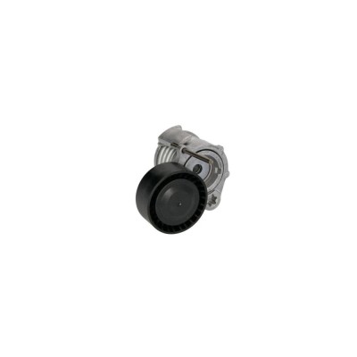 Intinzator curea BMW 3 E90 DAYCO APV2774 foto