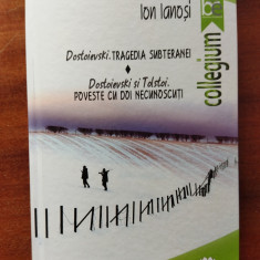 Ion Ianosi Dostoievski și Tolstoi tragedia subteranei poveste cu doi necunoscuti