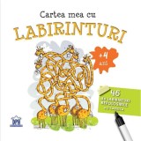 Cartea mea cu labirinturi - 46 de labirinturi refolosibile + o carioca |