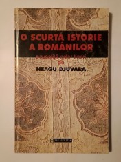 Neagu Djuvara - O scurtă istorie a rom&acirc;nilor povestită celor tineri (1999)
