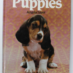 EVERYONE 'S BOOK OF PUPPIES by ANGELA SAYER , 1983