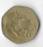 Moneda 1 pula 1991 - Botswana