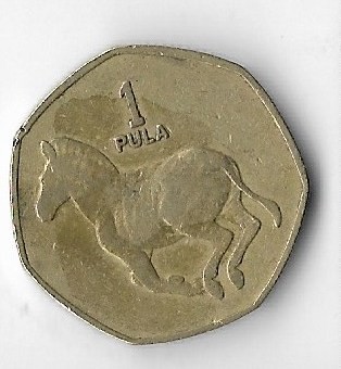 Moneda 1 pula 1991 - Botswana foto