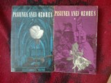 h7a Pasiunea Anei Ozores - Clarin ( 2 volume )