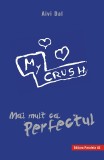 Mai mult ca Perfectul | Aivi Dal, Paralela 45