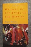 Roger Moreau - The Rom: Walking In The Paths of The Gypsies