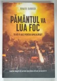 PAMANTUL VA LUA FOC , TU VEI FI AICI PENTRU APOCALIPSA de RENATO CARDOSO , 2020