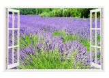Sticker decorativ, Fereastra 3D, Lavanda, 85 cm, 297STK, natura si peisaje