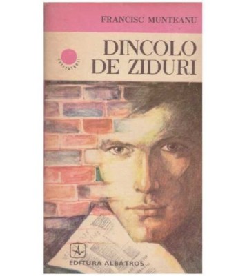 Francisc Munteanu - Dincolo de ziduri - 127607 foto