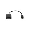 Adaptor HP F7W96AA DisplayPort la DVI, Negru