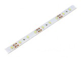 Bandă LED alb rece 12V 60 LED/m 10mm PCB maro, OPTOFLASH