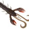 Creatura Berkley Pulse Realistic Craw Hollow, Signal Cray UV Claw, 10cm, 6buc/plic