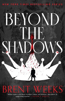 Beyond the Shadows foto