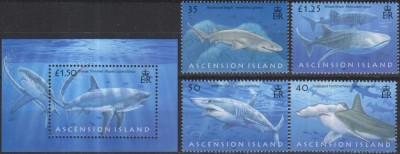 Timbre cu rechini din Ascension foto