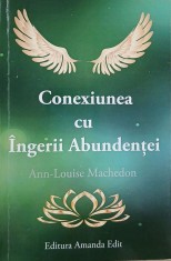 Conexiunea cu ingerii abundentei - Ann-Louis Machedon