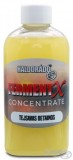 Haldorado - Aroma FermentX Concentrate - Betaina Fermentat 250ml