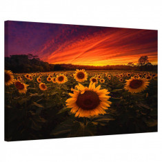 Tablou Canvas, Tablofy, Ruby Sunflower, Printat Digital, 50 × 40 cm