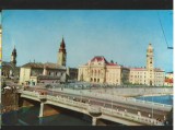 CPI B14029 CARTE POSTALA - ORADEA, POD