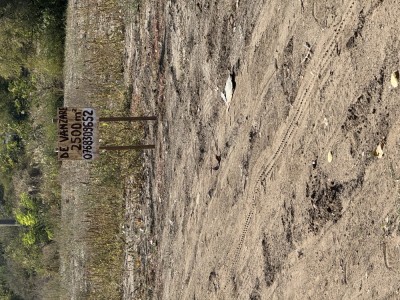 Teren de vanzare foto