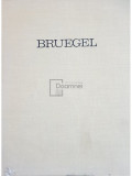 Ion Biberi - Pieter Bruegel cel Batrin (editia 1967)