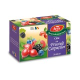 Ceai Fructele Carpatilor Aromfruct, 20 plicuri, Fares