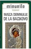 Minunile Icoanei. Maica Domnului De La Bacikovo