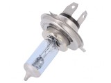 Set 2 Becuri Auto Albastru 12V 60/55W VisionPro Blue