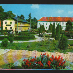 CPIB 17904 CARTE POSTALA - ORADEA - BAILE "1 MAI"